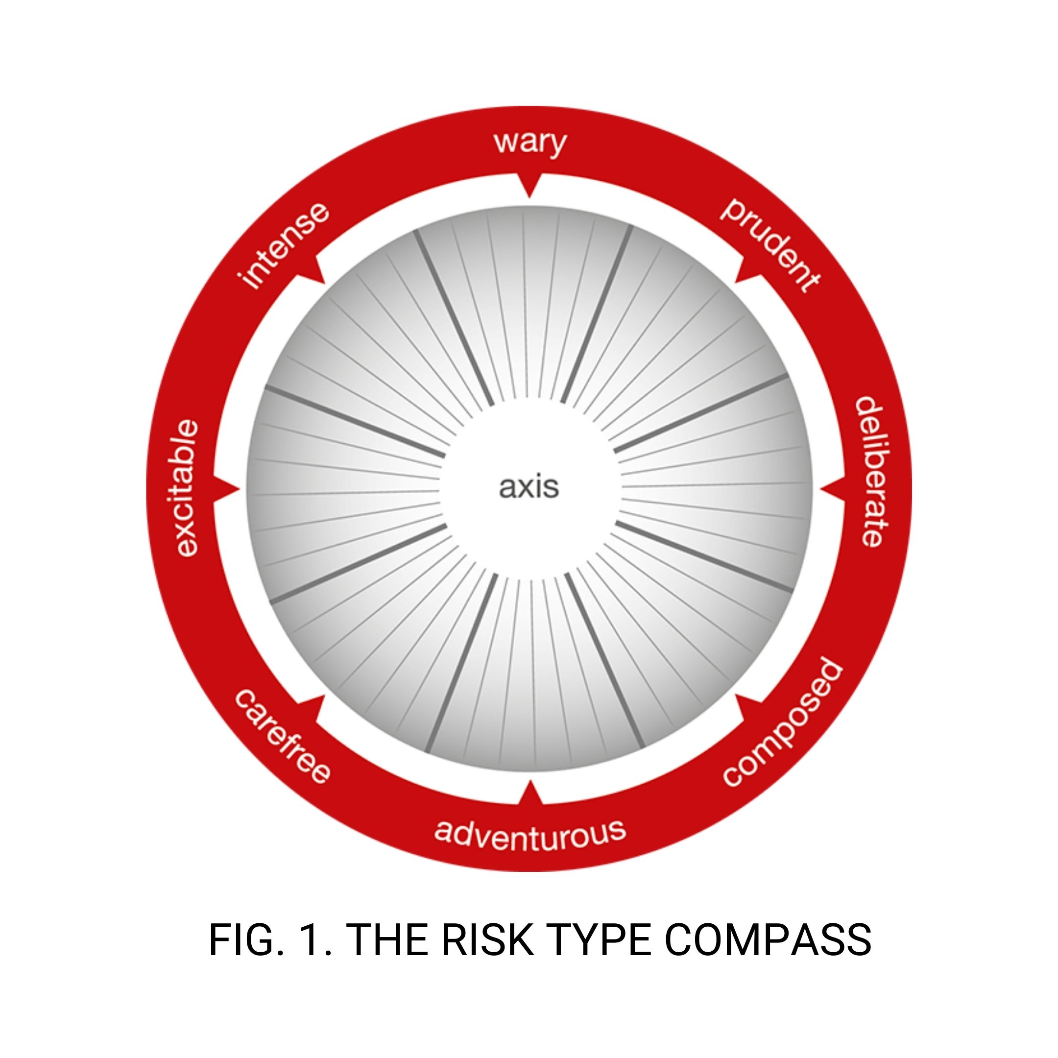 Risk Type Compass Risk Type Compass