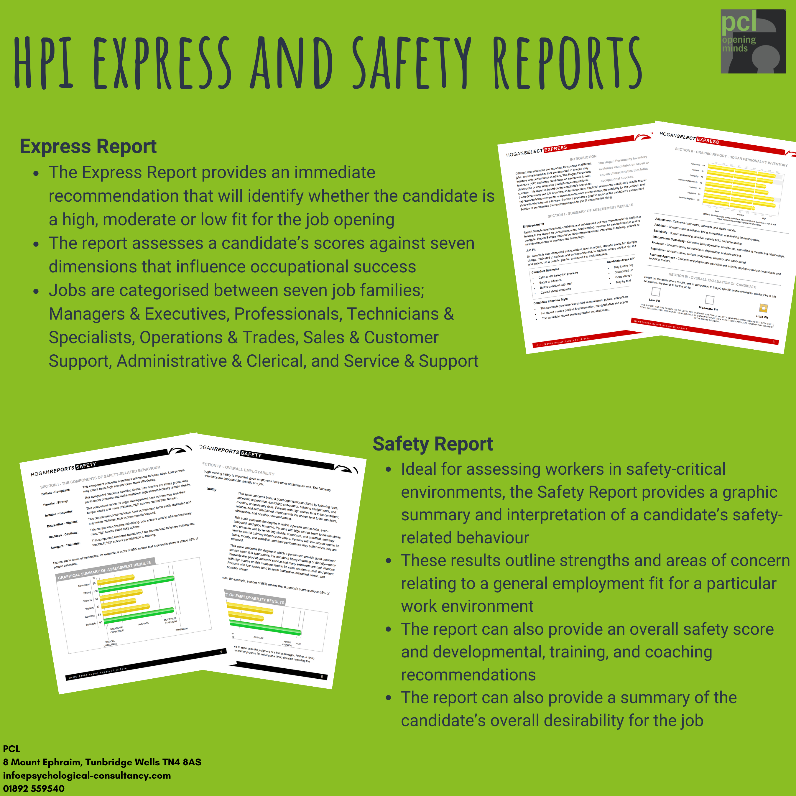 HPI Express HPI Safety Hogan Sample Report