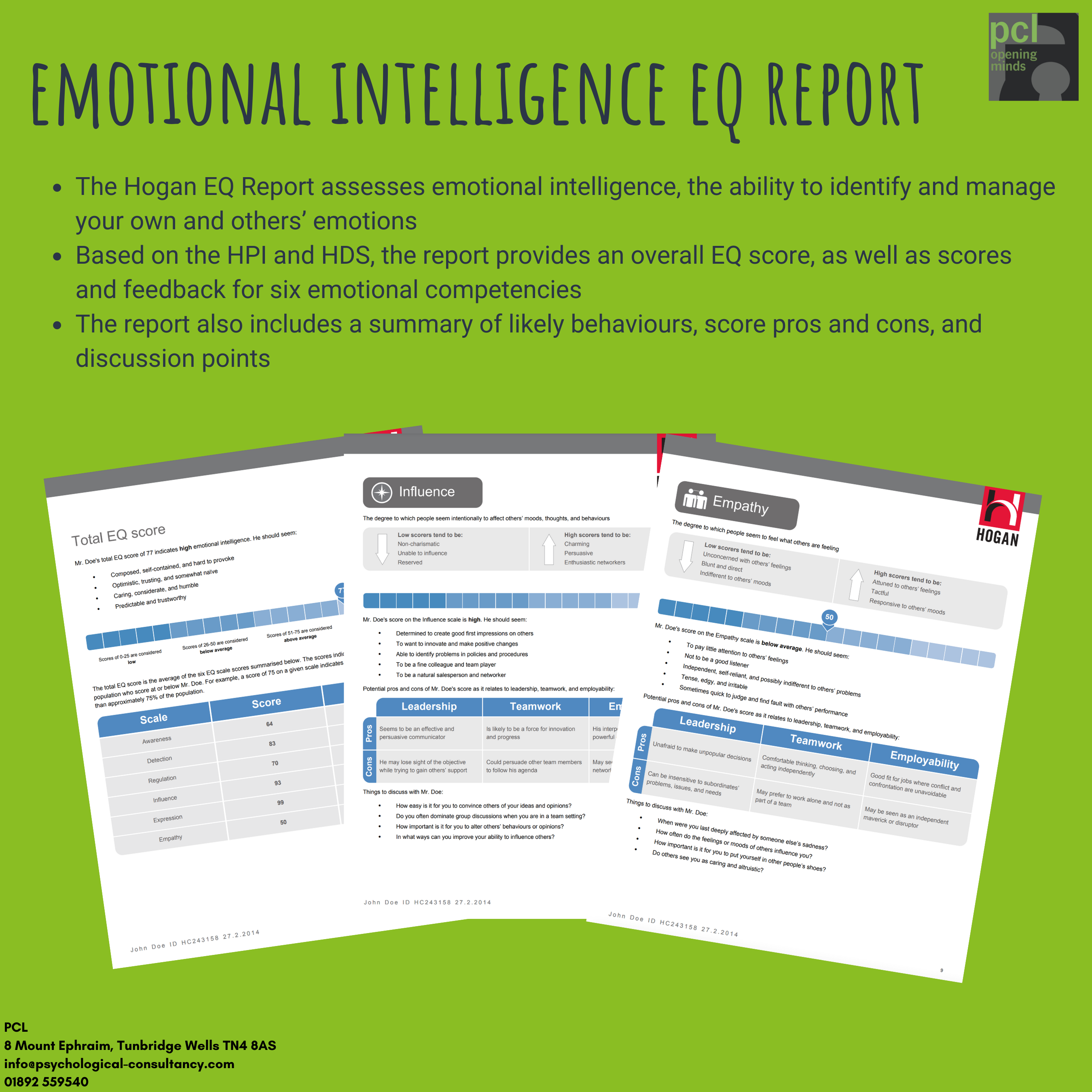 Emotional Intelligence EQ Hogan Report Sample