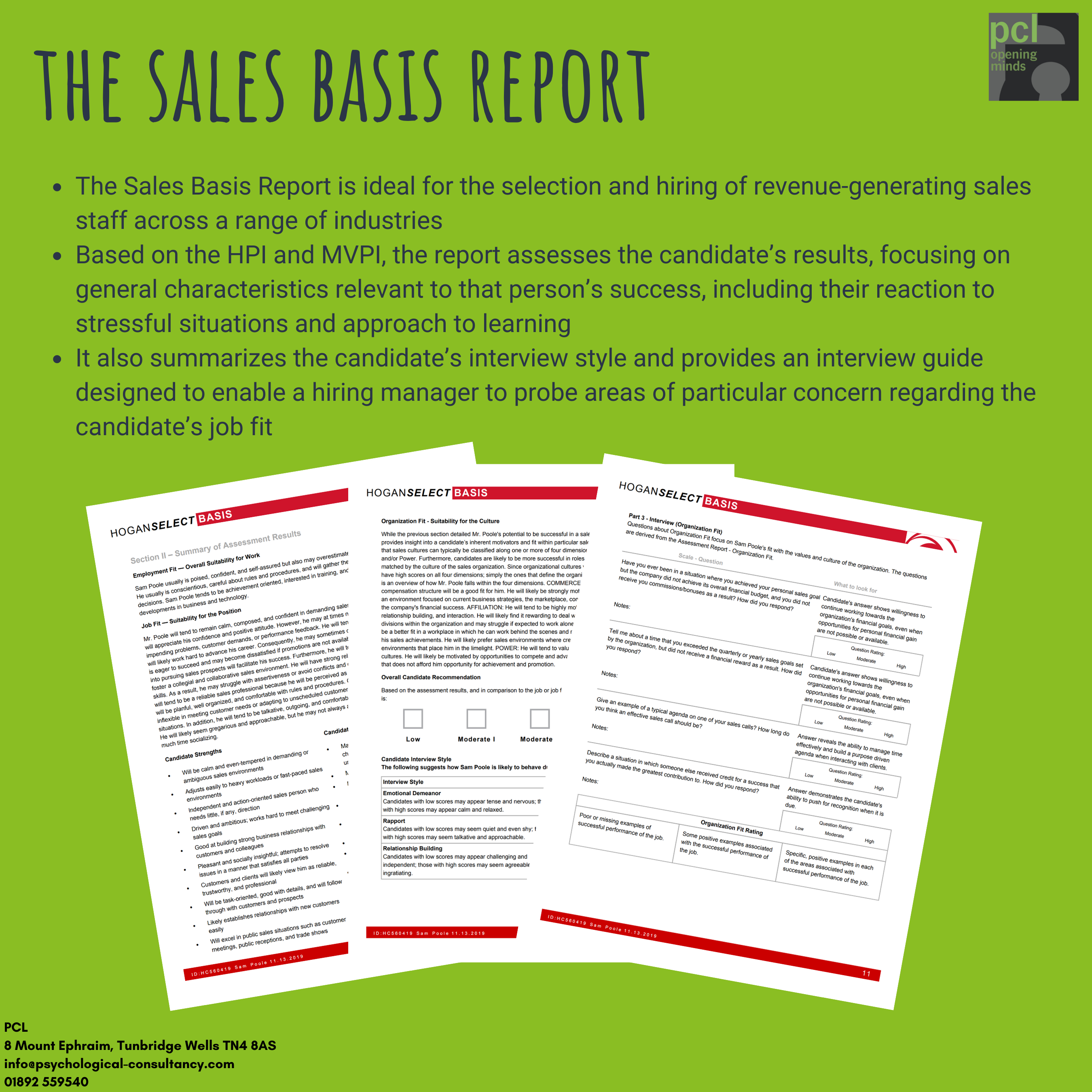 The Sales Basis Report Hogan Sample