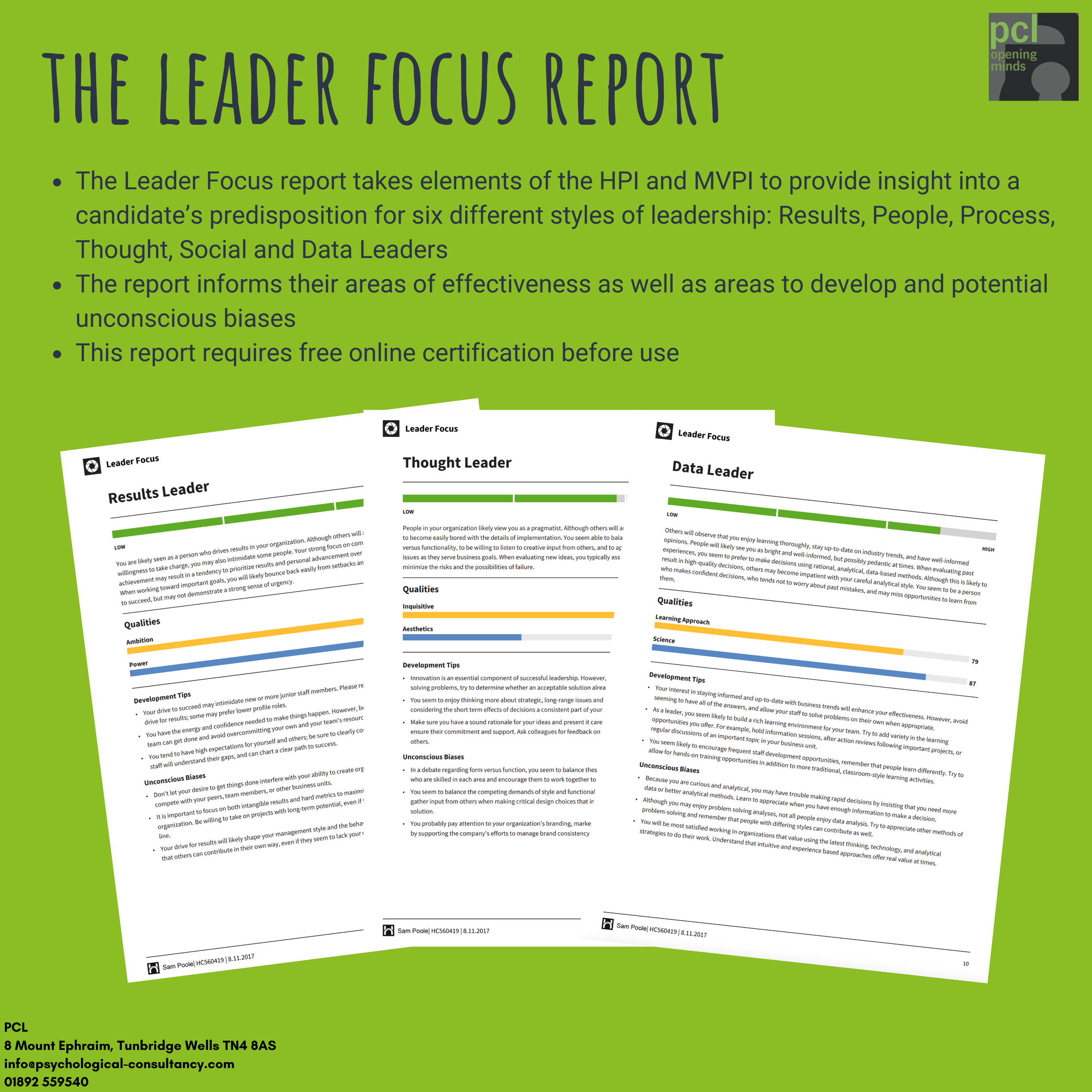 The Leader Focus Report Hogan Sample