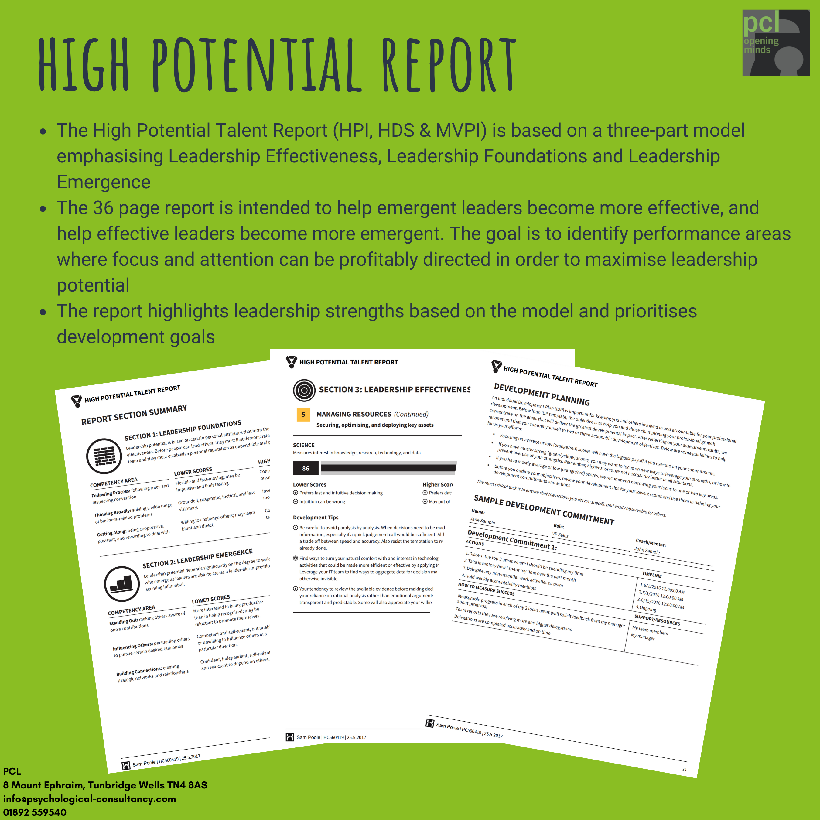 The High Potential Report Hogan Sample
