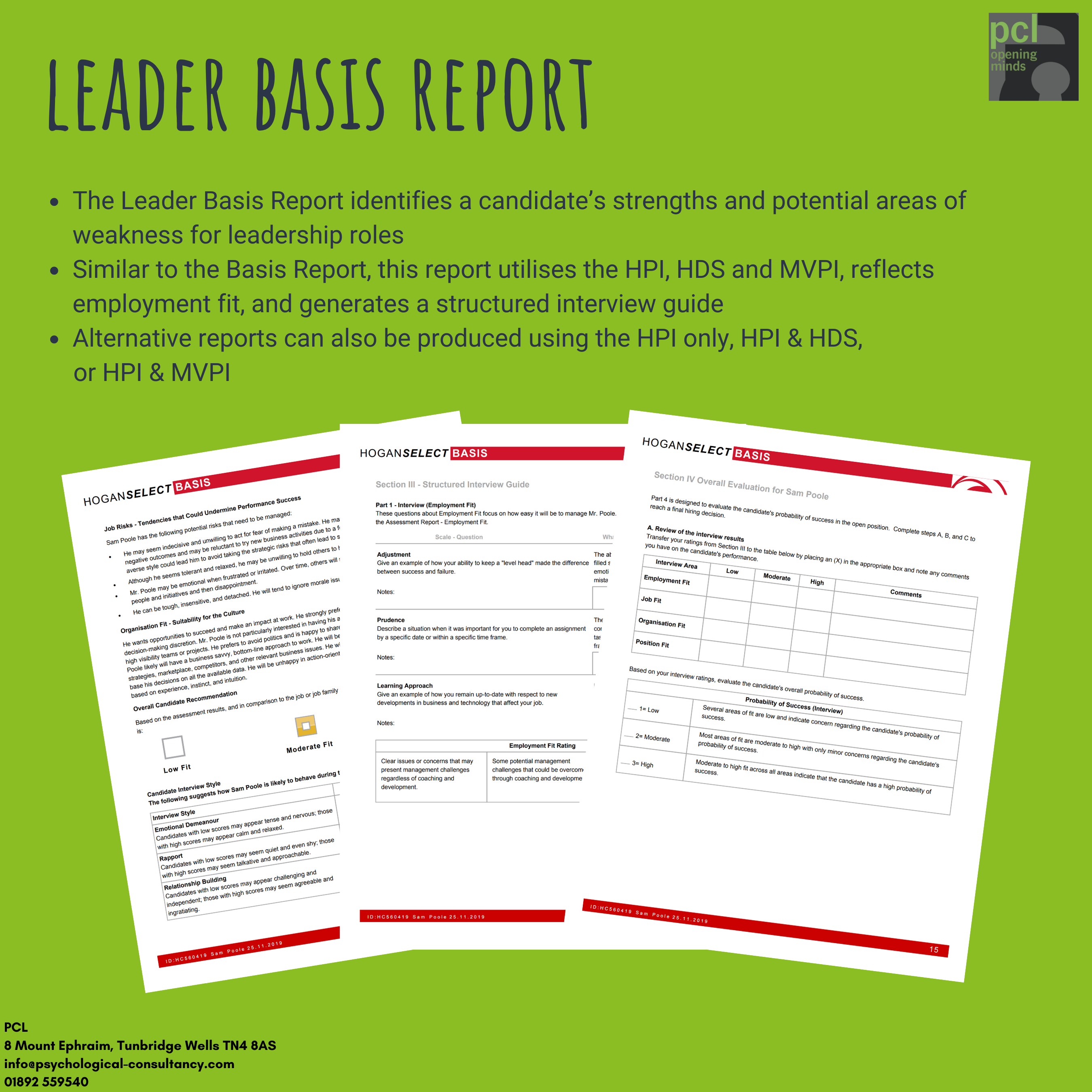 The Leader Basis Report Hogan Sample
