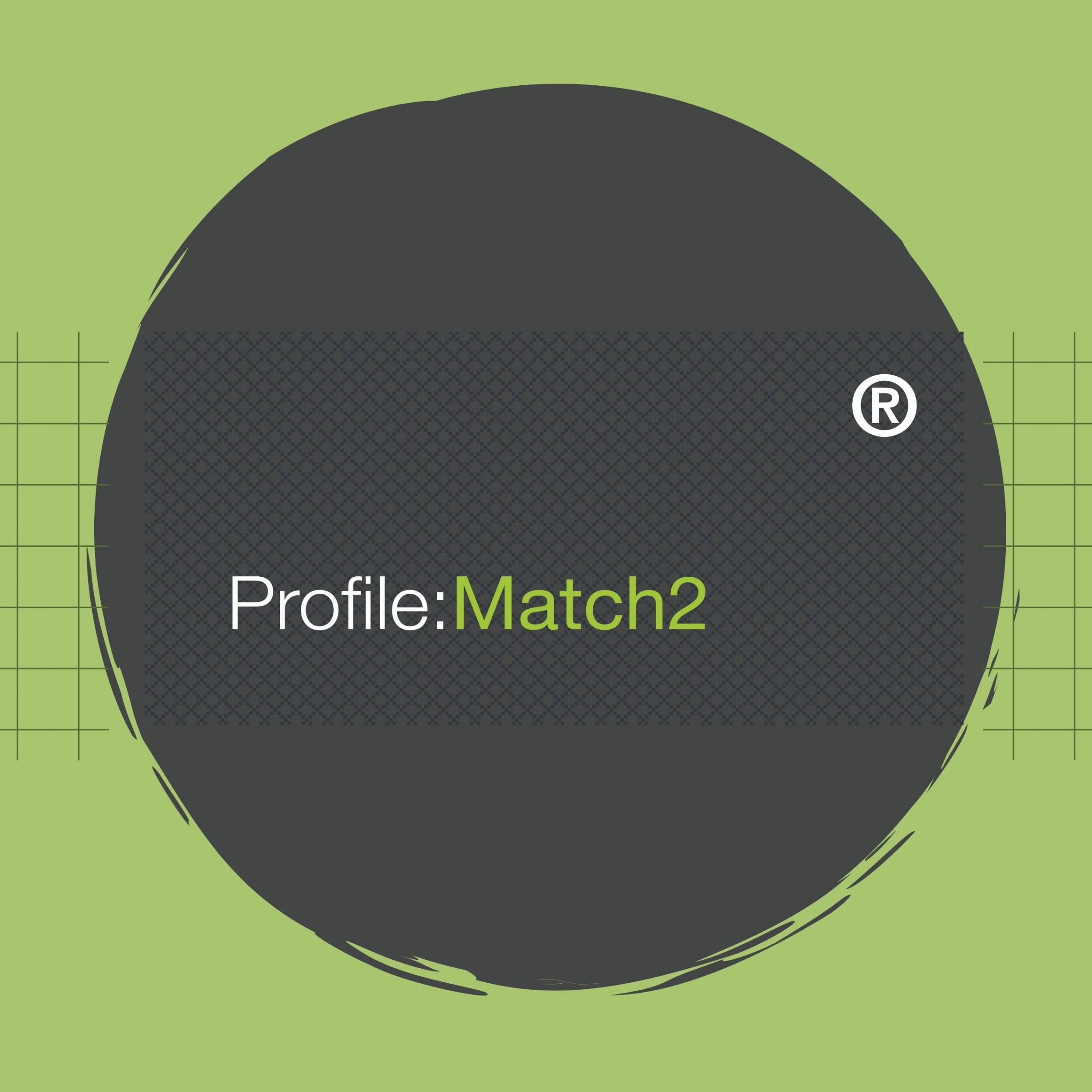 Profile Match 2 Psychometric Assessment
