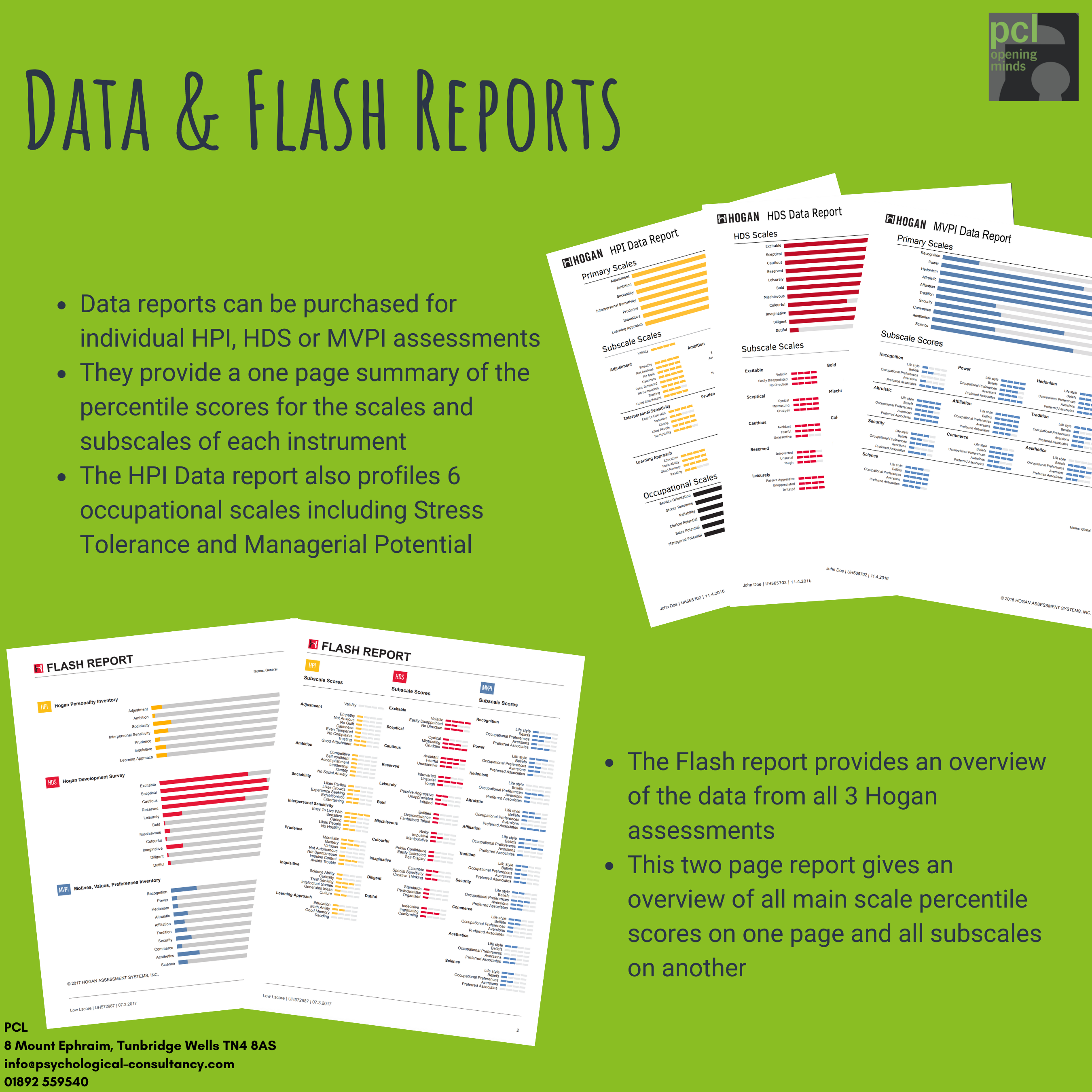 Hogan Data and Flash Report HPI HDS MVPI Sample