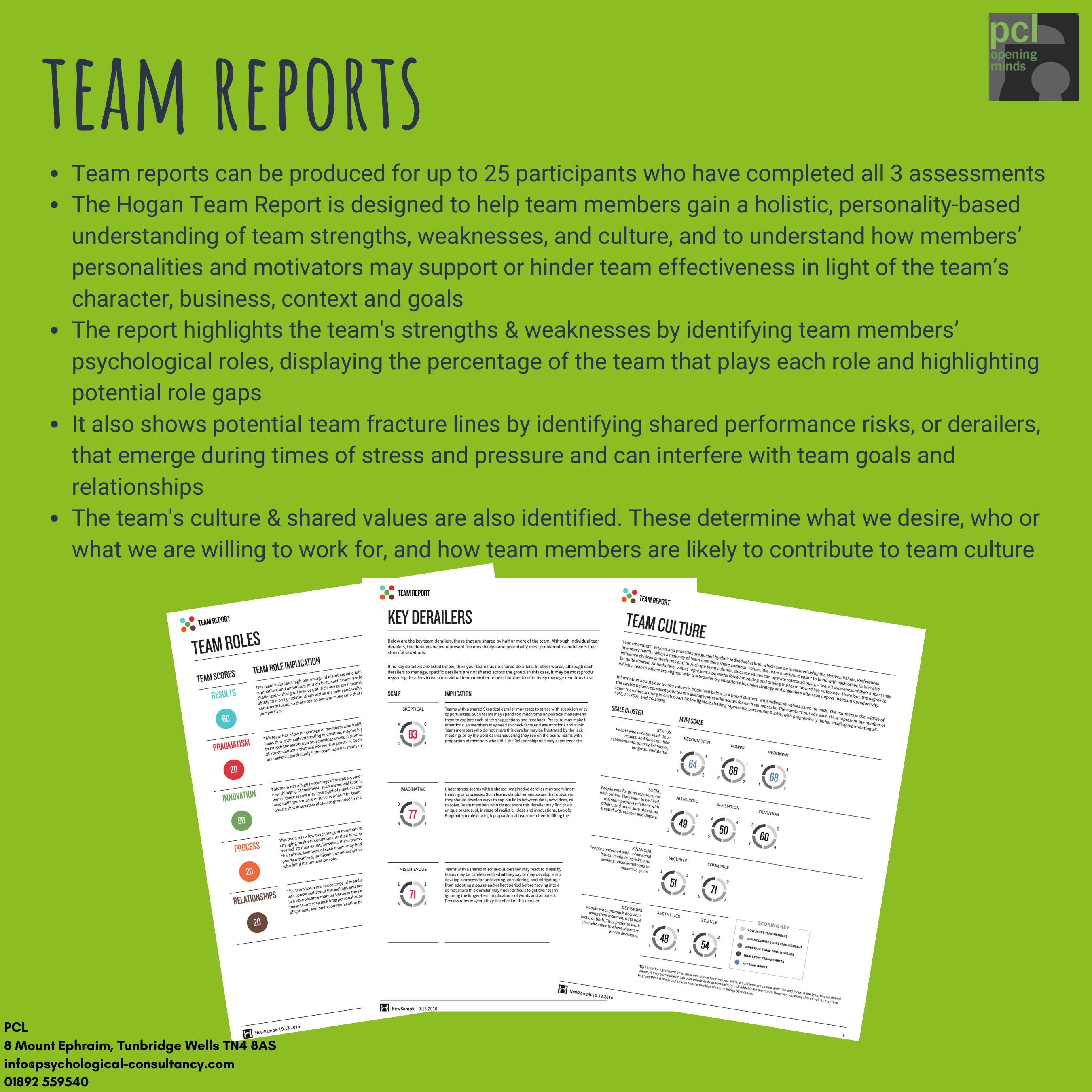 Team Report Hogan Sample Report
