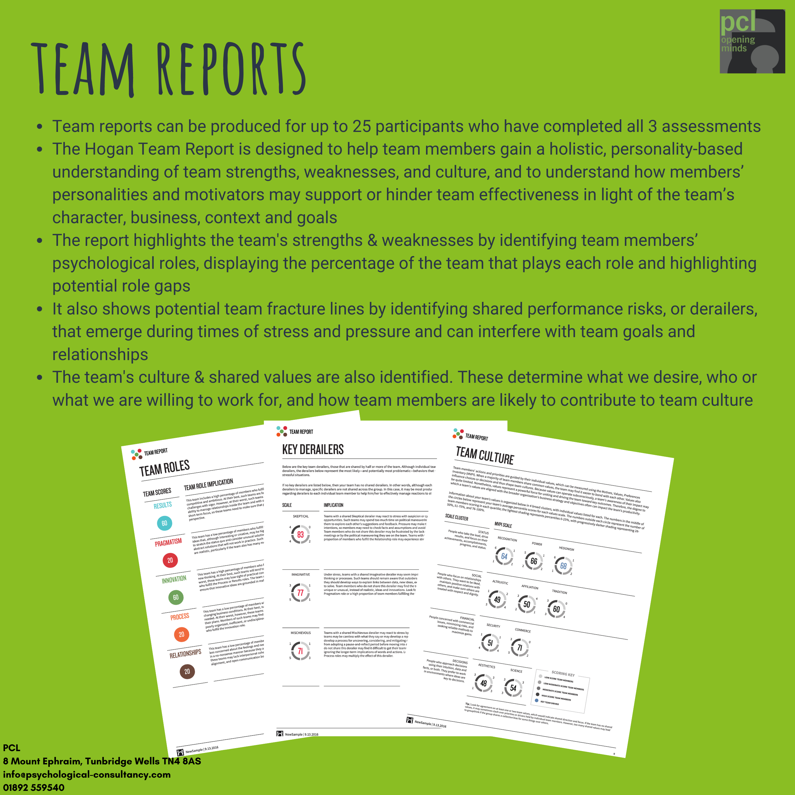 Hogan Team Report - HPI, MVPI - PCL