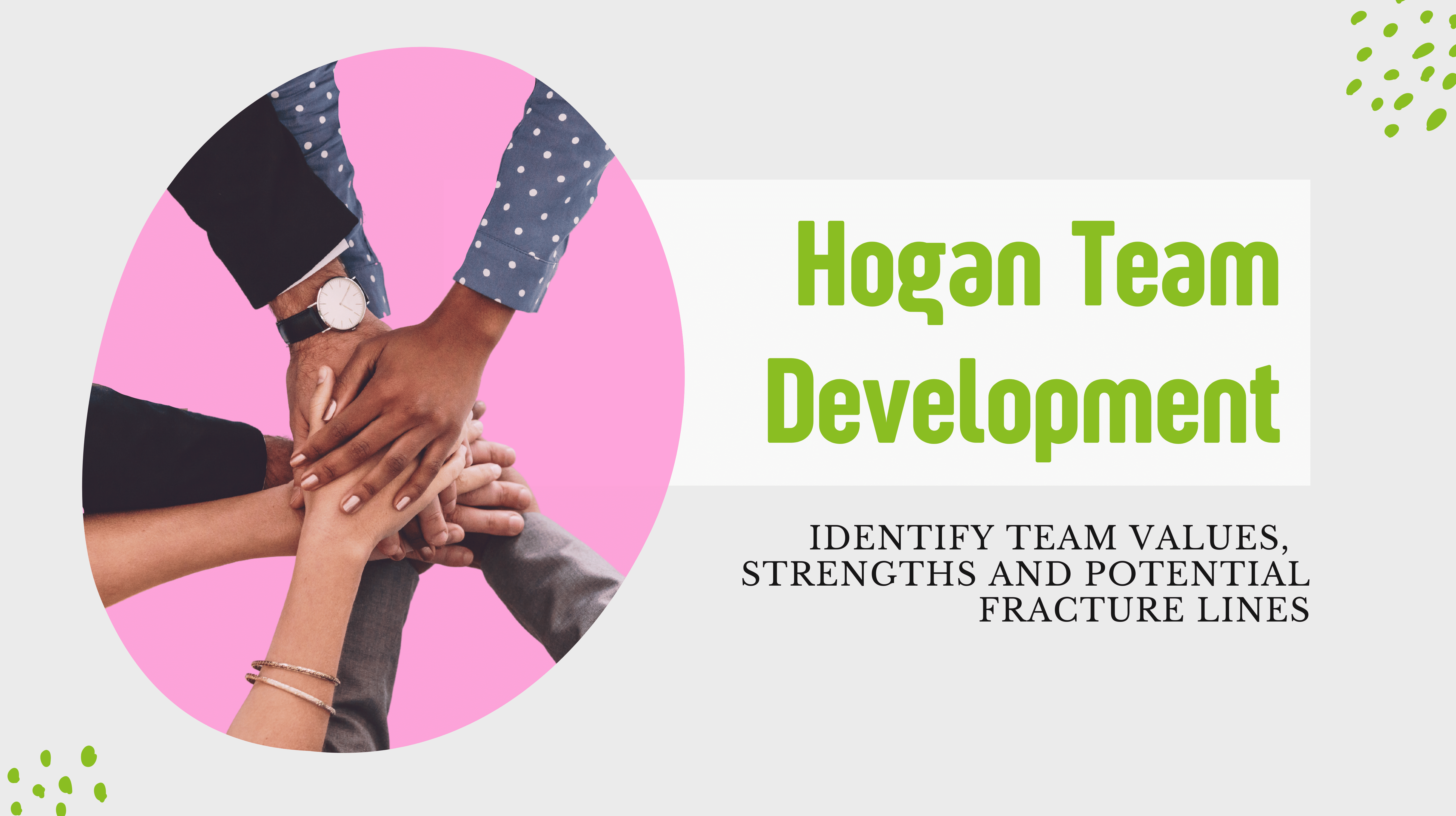 Hogan Assessments Team Development