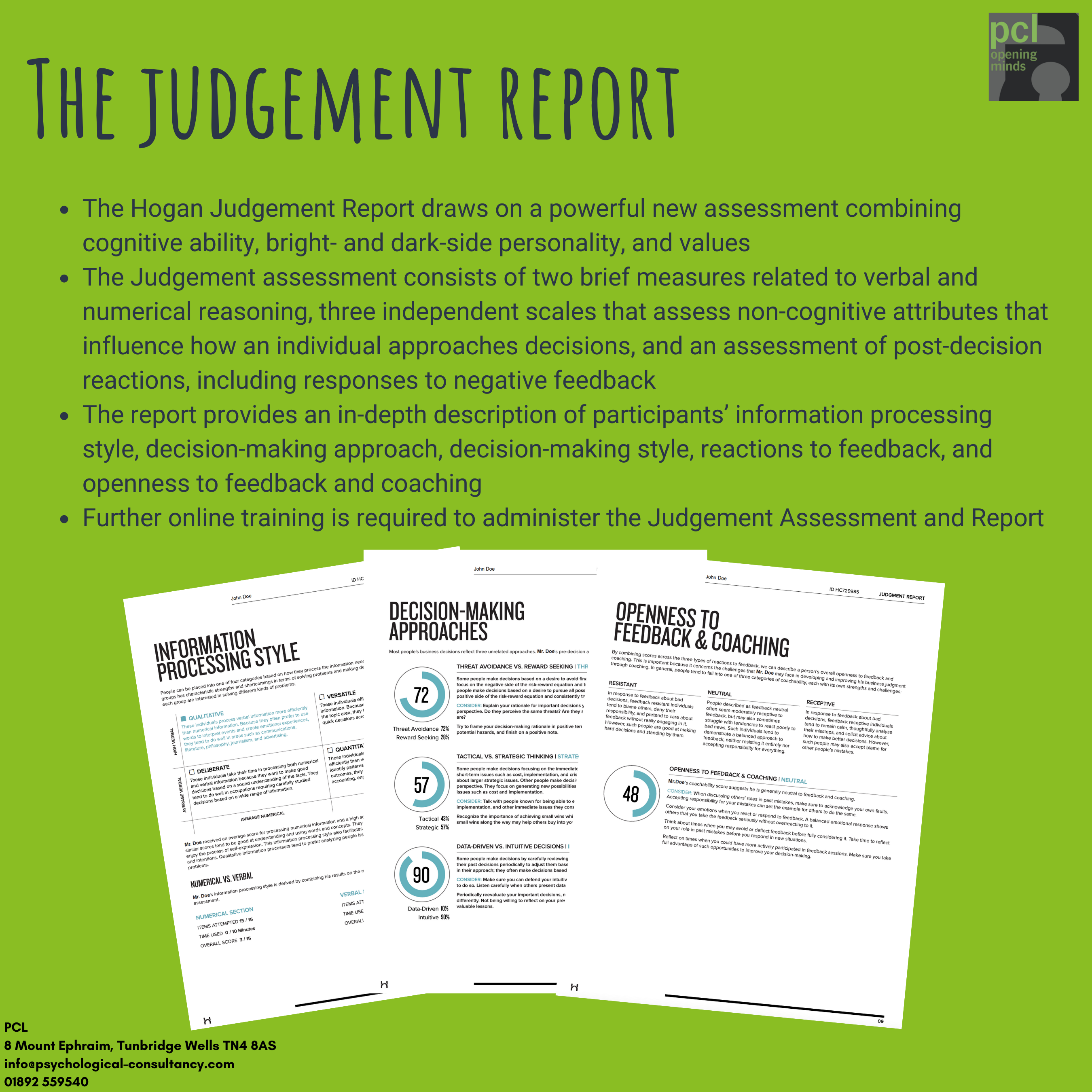 Hogan Judgement Sample Report