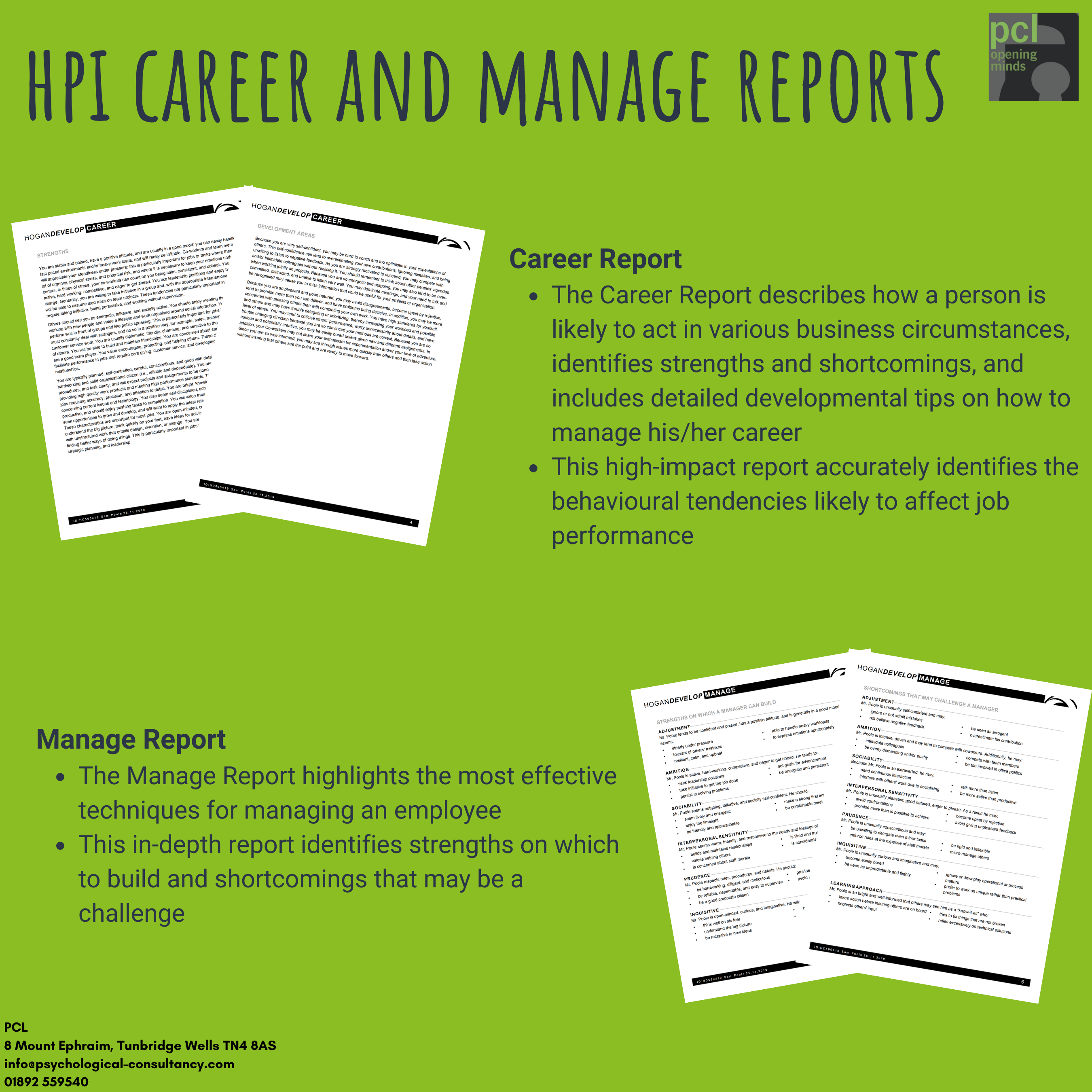 HPI Career Report HPI Manage Report Sample