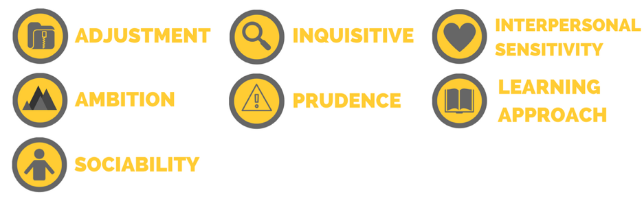 Tæller insekter fordampning brydning Hogan Personality Inventory (HPI) - The Bright Side of Personality -  Authorised UK Hogan Distributor PCL