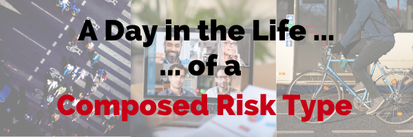 A day in the life of a Composed Risk Type Compass