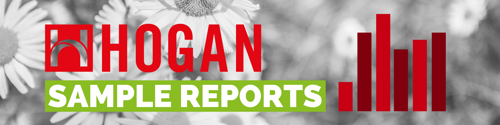 Hogan sample reports Hogan sample reports