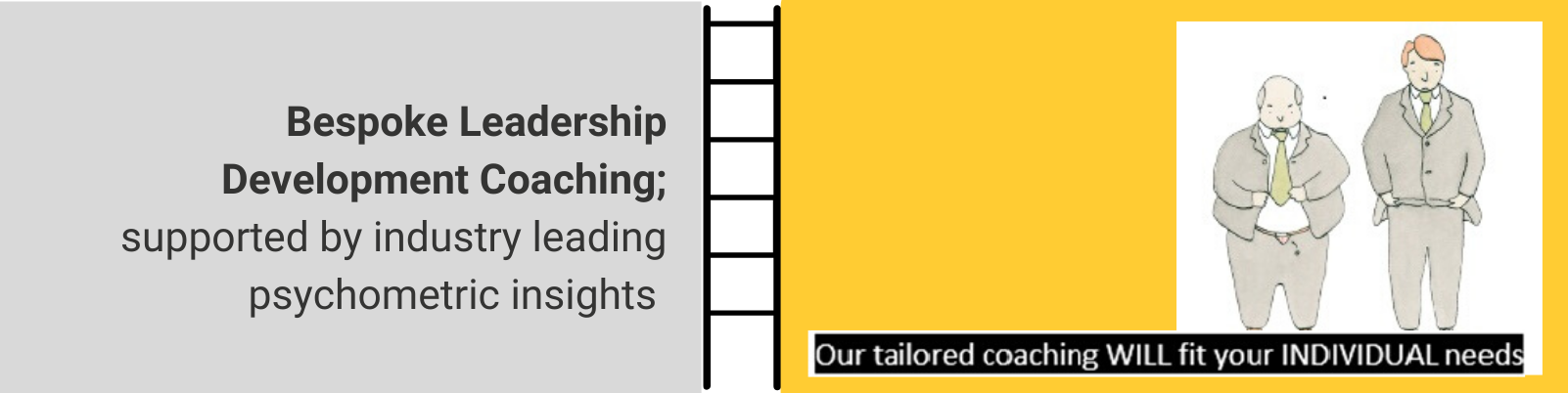 Developmental Coaching developmental coaching