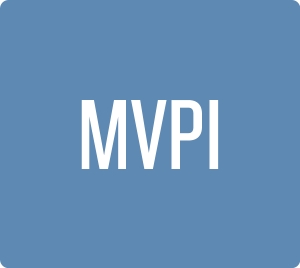 Motives, Values, Preferences Inventory (MVPI) Reports
