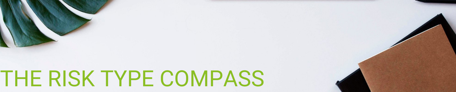 Risk Type Compass banner Risk Type Compass banner