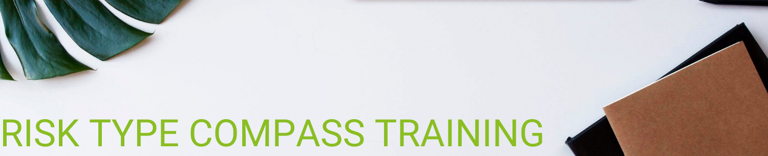 Risk Type Compass training banner Risk Type Compass training banner