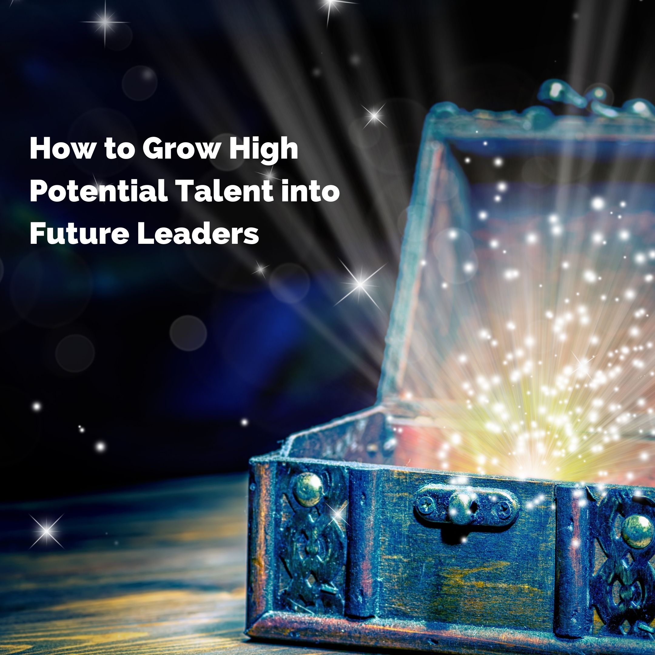 Hogan High Potential Talent Report Webinar