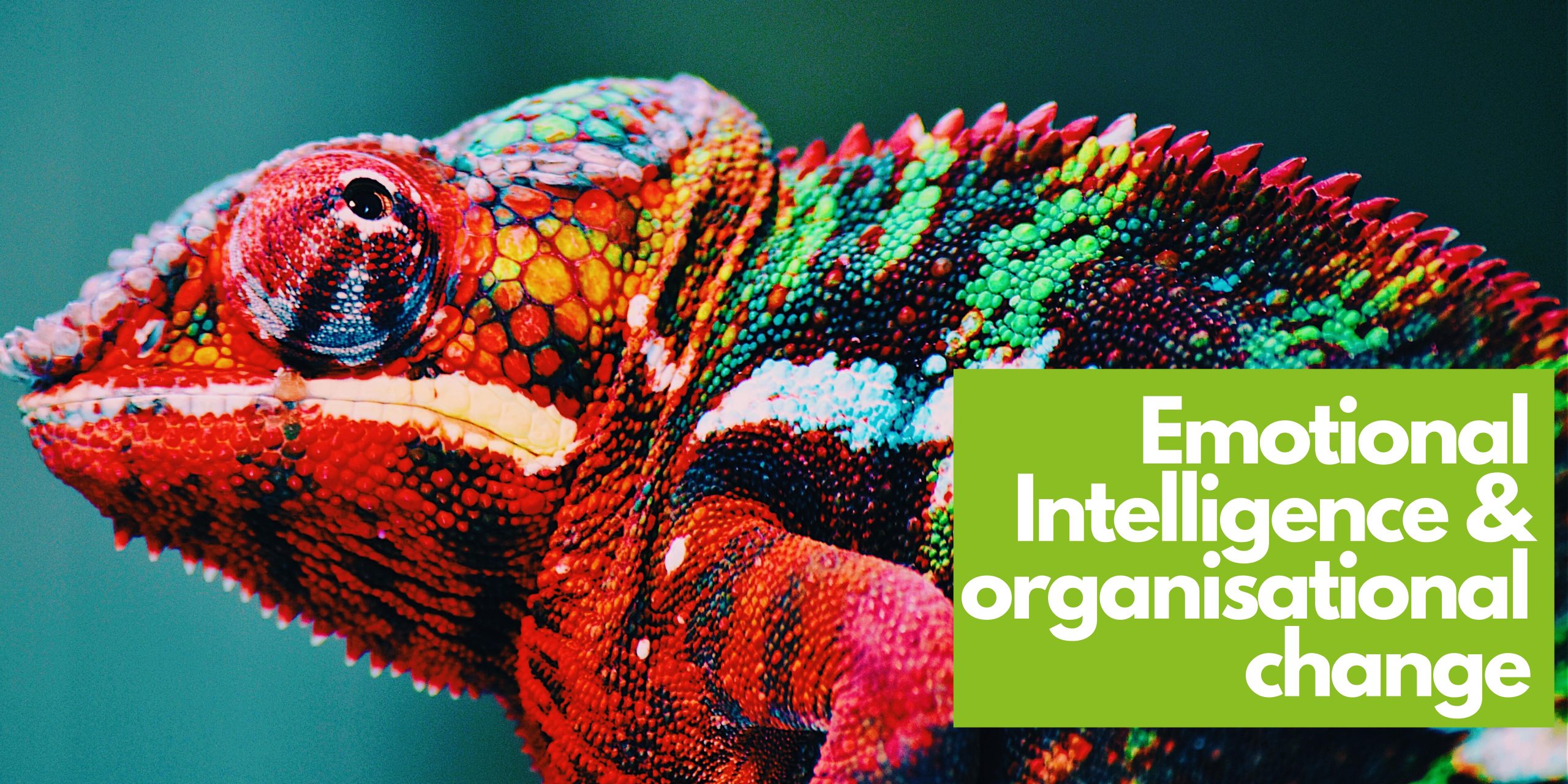 Emotional Intelligence and Organisational Change Emotional Intelligence and Organisational Change