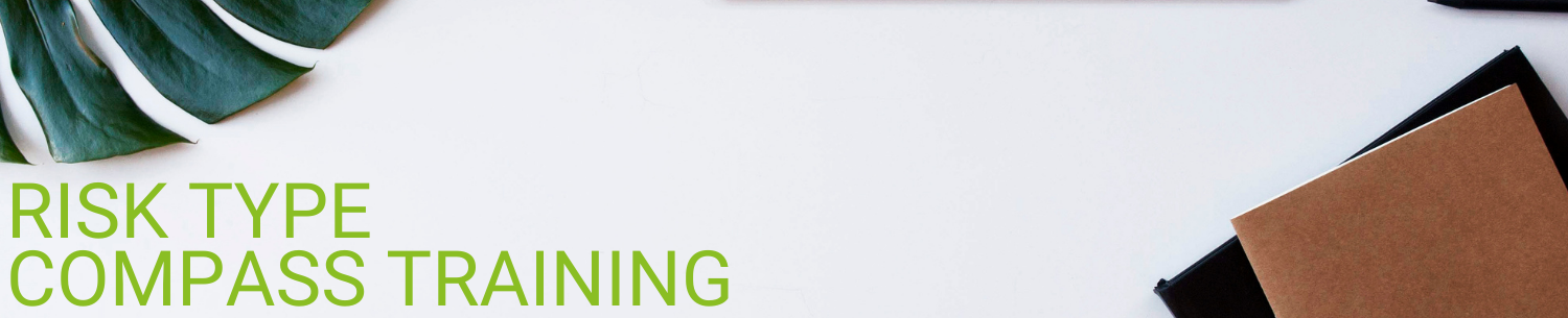 Risk Type Compass training Risk Type Compass training