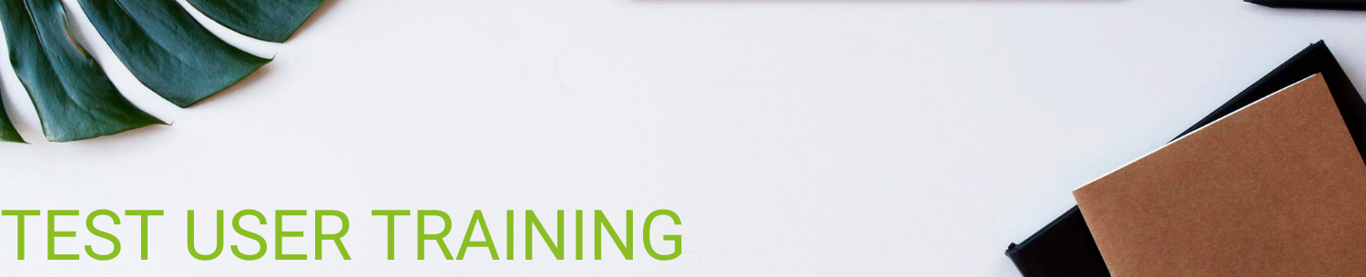 Test user training BPS Test user training