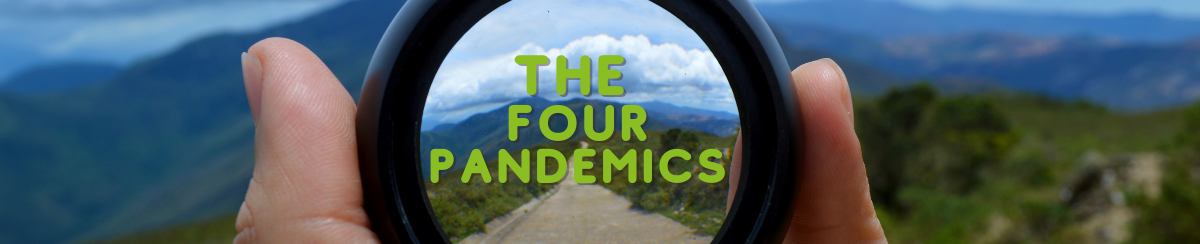 Lessons learnt from the pandemic Lessons learnt from the pandemic